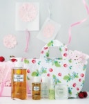 DHC, 졸업.입학 선물 2월 한달간 최고 32%할인