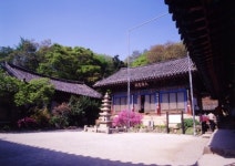 충남 서산 개심사.서산목장에 관광객 몰려