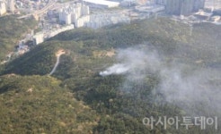 부산 해운대 장산에 또 불..두달새 8건