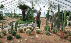 아산시, 생태식물원 개관 앞두고 식물식재 한창