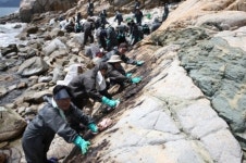 [포토]석유公, 거제 앞바다 벙커C유 제거작업