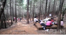 창원시 의창구,  태복산 편백숲 산림욕장 각광