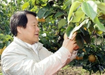 염홍철 시장, 무료급식비 확대, 유성배 해외수출 적극 지원