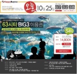 해피바이러스? 소셜커머스? 대체 뭐길래