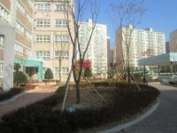 용인시, 고림초등학교에 녹색 숲이 생겼어요