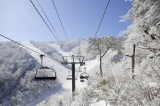 雪雪 끓는 설원...그 참을 수 없는 질주본능