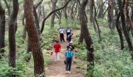 충남도, 명품 산책로 ‘솔바람길’ 조성