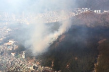부산 금정구 ‘윤산 4부 능선’ 등산객 실화로 산불.. 1만㎡ 태워