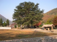 [김종훈의 흙에 살리라]한우산 기슭 아래 소담한 산천렵마을