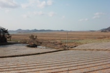 *태원농장 농민 임대료 인하 요구 나서