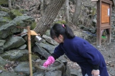 서울시 2011년 으뜸약수터 9개소 선정