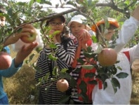 [김종훈의 흙에살리라]풍요의 소리가 빚어낸 함양 물레방아떡마을