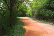 “계족산 황톳길로 놀러 오세요.”