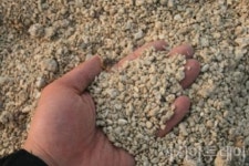 천연기념물 지정 해수욕장…서빈백사