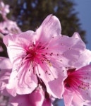 *바다의 정취를 흠뻑 누릴 수 있는 연안의 시골마을