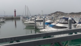 *요트, 바람과 파도에 맞서다