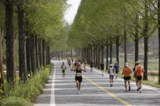 보성녹차마라톤대회 4000여명 참여 대성황