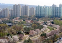 외국인 강남구 땅 선호도 높아
