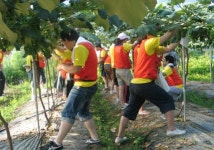 백석사회봉사단, 2011 하계 농촌봉사활동 실시