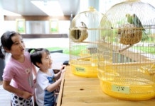 [포토] 도심 속 동물농장 체험 즐기세요?