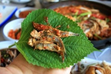 [여행]그 섬에 꼭 가고 싶다…거제 내도