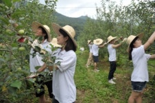 [포토] 부산은행, 대학생 홍보대사 ‘농촌봉사활동’