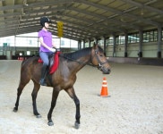 [승마]아사아투데이선정 명 승마클럽..1.하노버