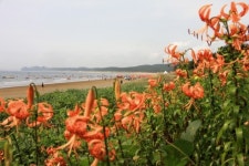[여행] 충남 태안에서 ‘치유의 길’을 만나다