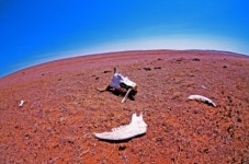 낯선 현실 만나볼까? 이방의 시간 사진전 개최