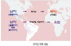 [환각에 빠진 대한민국] 4. 현재 세계 마약 시장은