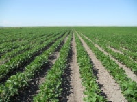 현대중공업 ‘농장사업’에 박차 가한다