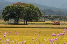 [포토] 가을 담은 수채화