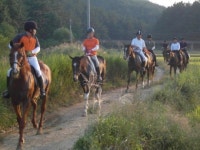 [경북] 포항칠포승마클럽
