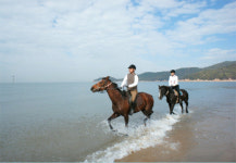 [전북] 부안(아리울)승마장