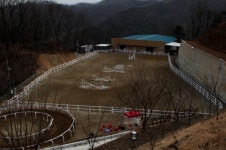 [경기] 안성승마클럽