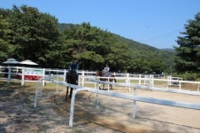 [경기] 경기승마훈련원