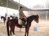 [경기] ㈜우리(우리남양승마클럽)