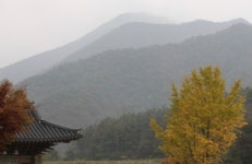 [포토] 강진군 가을 산사의 풍경