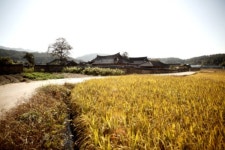 [여행]한옥 체험 이보다 더 좋을순 없다