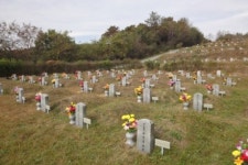 안성시,사곡동 공설묘지내 국군묘역 새단장