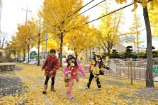 대전 중구, 낙엽의 거리 5곳 18일까지 운영