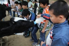 KT 등 14곳 지역센터아동 초청…아동사랑 드림 캠프 진행