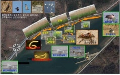 마산만 봉암갯벌 습지보호지역 지정