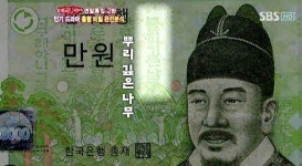 지폐 속 뿌리깊은 나무, 만 원 짜리 지폐에 정말 있네?!