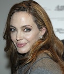 안젤리나 졸리, 영화감독 데뷔 실패?