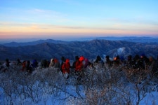 [여행] 눈(雪)이 있어 즐거운 고장 태백