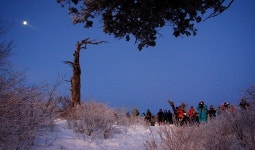 [여행] 눈(雪)이 있어 즐거운 고장 태백