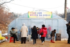 용인.상갈동 썰매나라 1일 200여명, 주말 1000여명