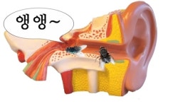 성인 10명 중 6명 ‘이명’ 경험