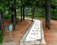 충남 연기 오봉산, 가족과 함께 봄철 등산코스로 ‘인기’